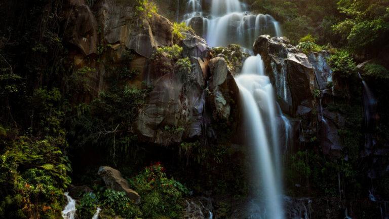 Pourquoi partir en voyage à La Réunion pour vos prochaines vacances ?