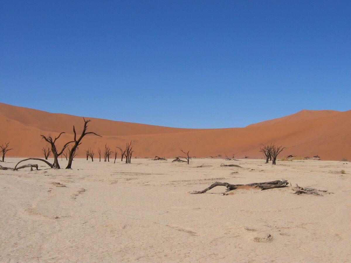 Deadvlei: white pan and dead trees at the foot of the Namib dunes, Namibia