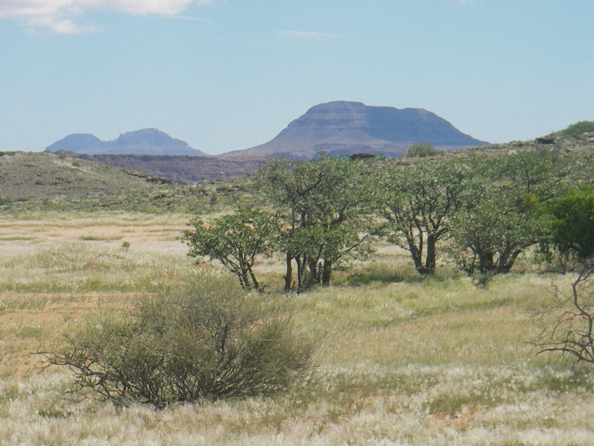 Landscape around Twyfelfontein in Namibia, savanna and reliefs, near rock engravings