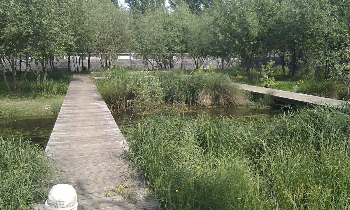 Passerelles en bois et bassins filtrants du parc du Chemin-de-l’Île à Nanterre