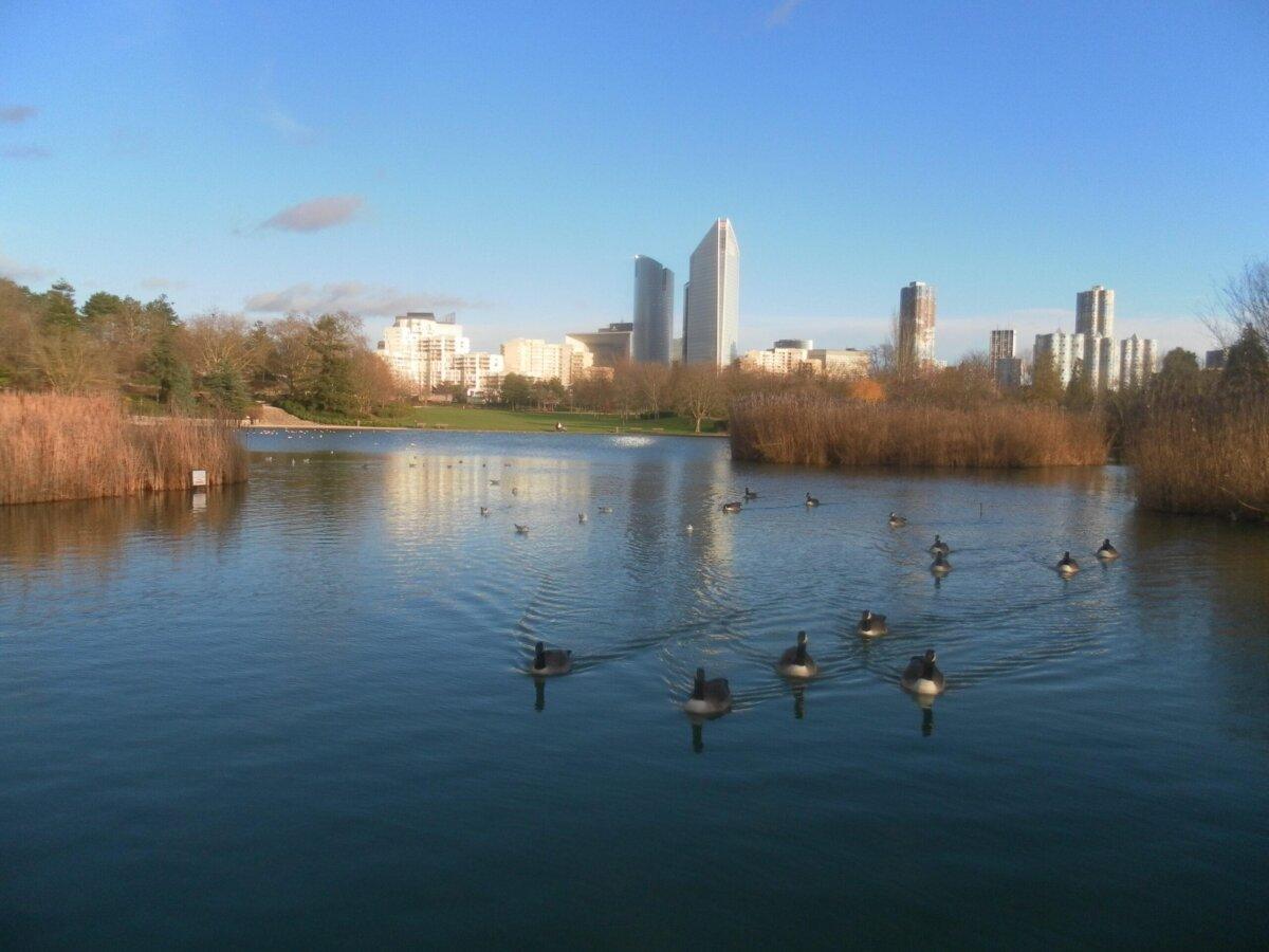 Parc départemental André-Malraux à Nanterre avec plan d’eau et skyline de La Défense au loin