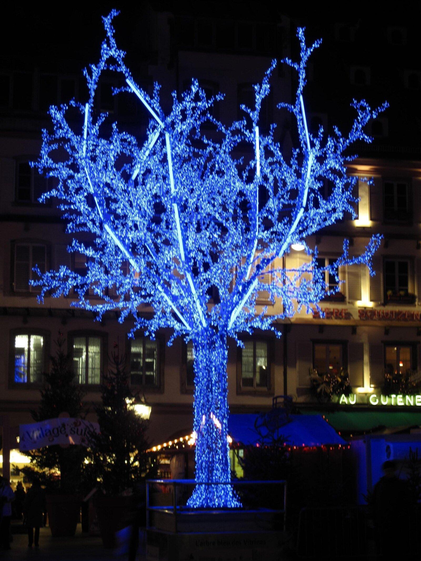 Blue Tree illuminated on Gutenberg Square in Strasbourg during the Christmas period