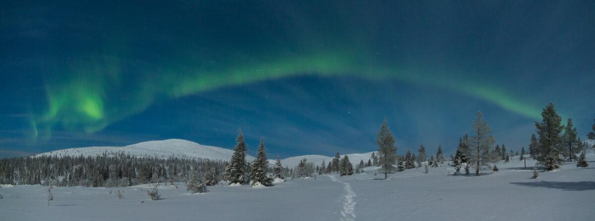 Grüner Nordlichtbogen über einer verschneiten Landschaft in Pallastunturi in Finnisch-Lappland