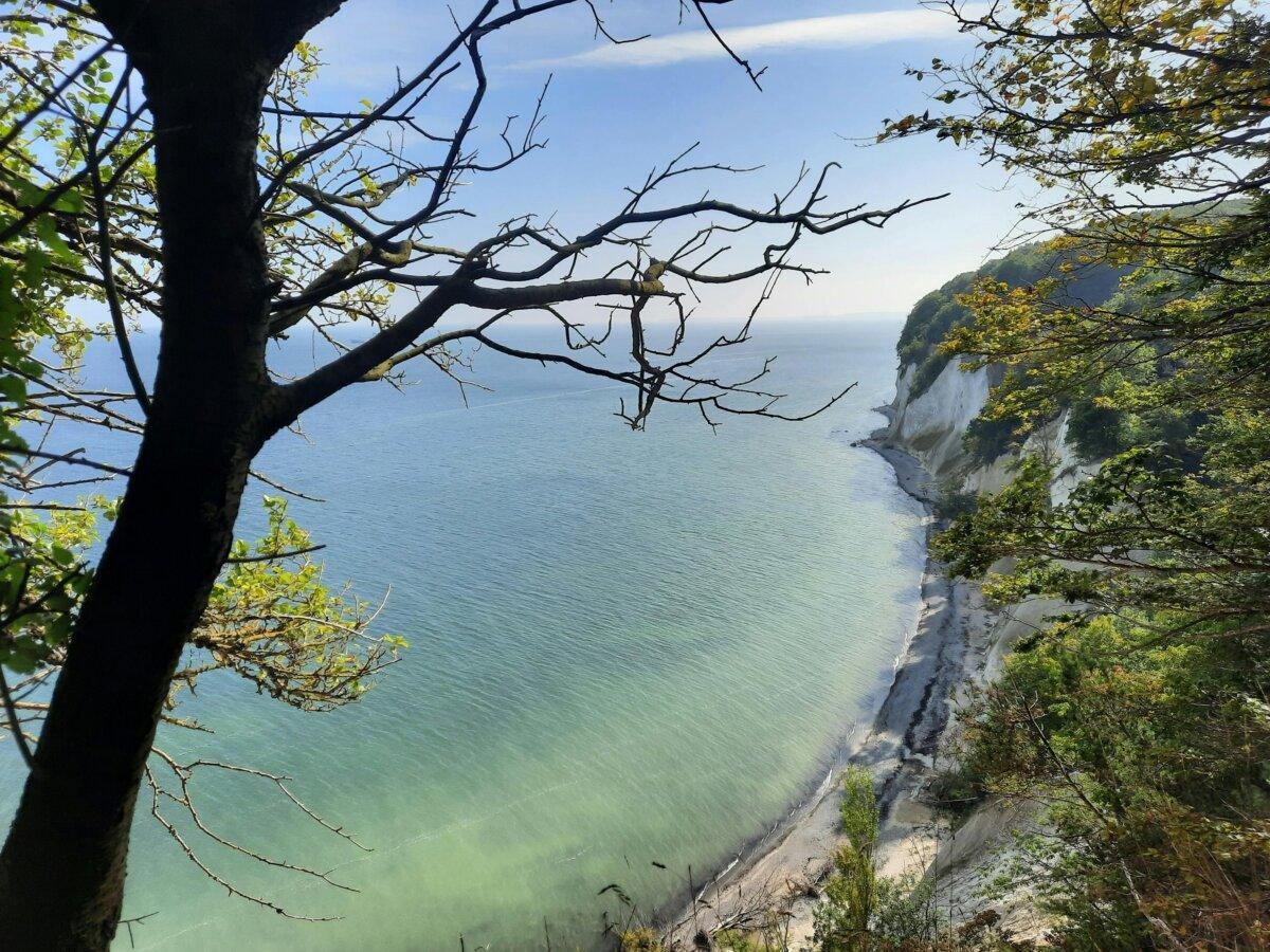 Falaises blanches de Møns Klint bordées d'une mer bleue