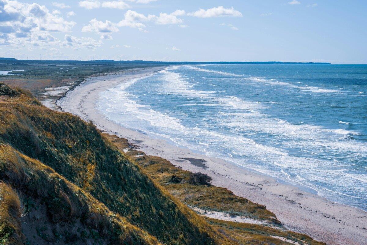 Grande plage danoise bordée de dunes au bord de la mer du Nord