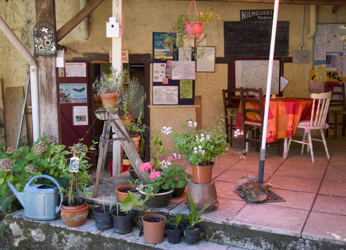 Recepción de camping con paneles de información, plantas y espacio de acogida