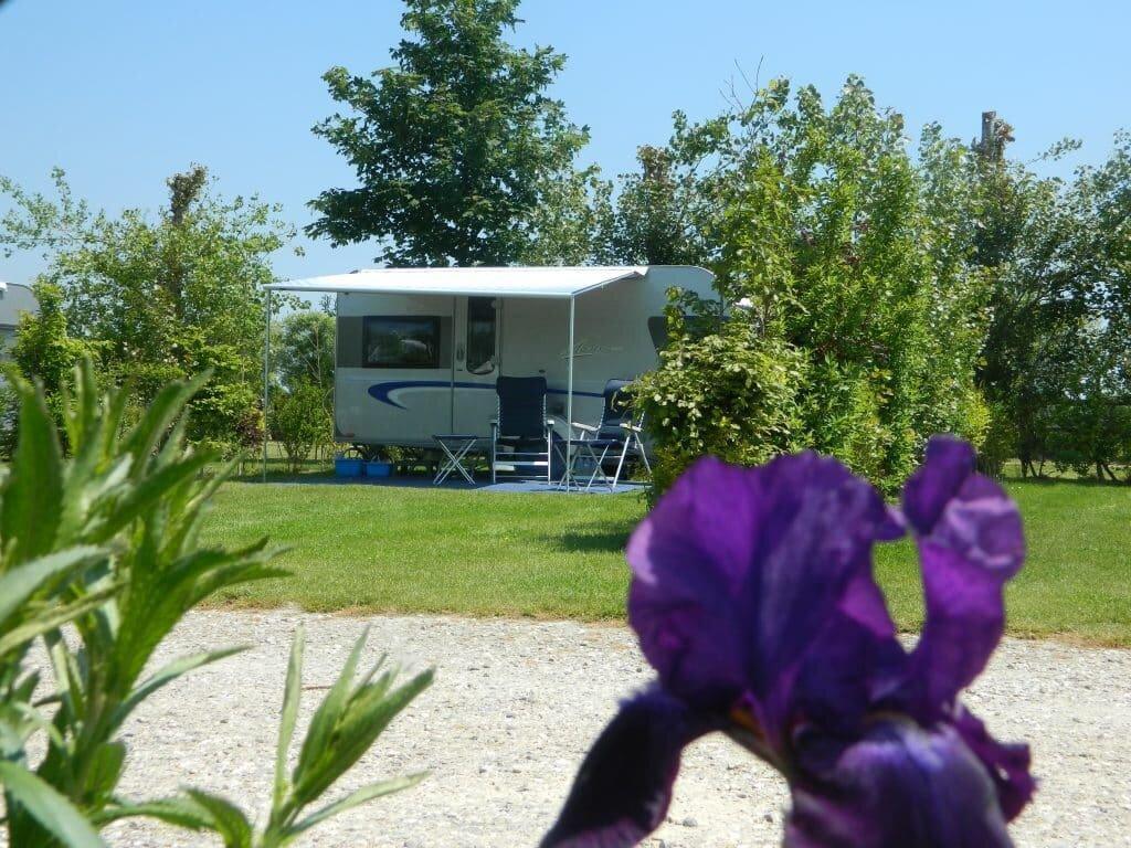 Emplacement engazonné avec caravane entouré de végétation au camping