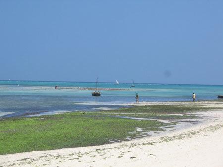 playa de Zanzíbar, una de las islas tropicales más bellas para descubrir después de un safari en Tanzania