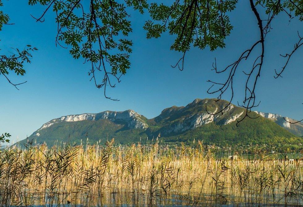 Ruhiges Ufer des Annecy-Sees mit Schilf und Reliefs im Hintergrund