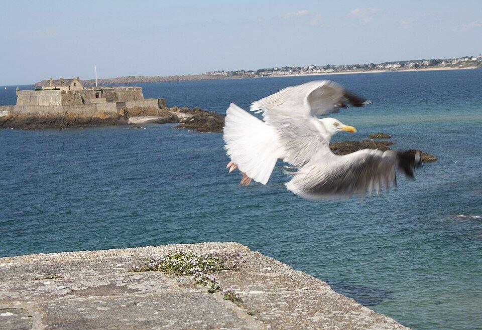 Saint-Malo an der Smaragdküste, Beispiel für Nord- oder Südbretagne bei einem ersten Aufenthalt