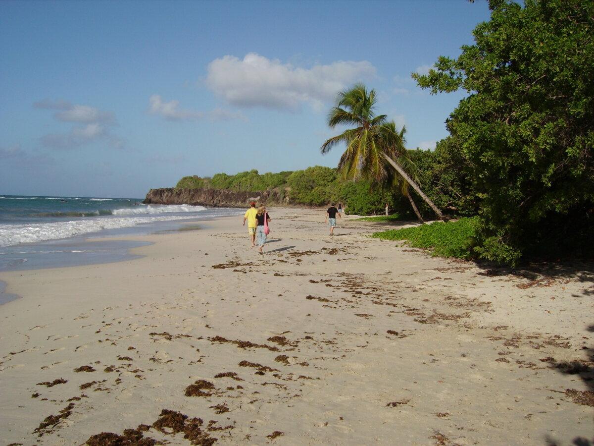 Grande plage des Salines avec sable clair, palmiers et marcheurs au bord de l’eau