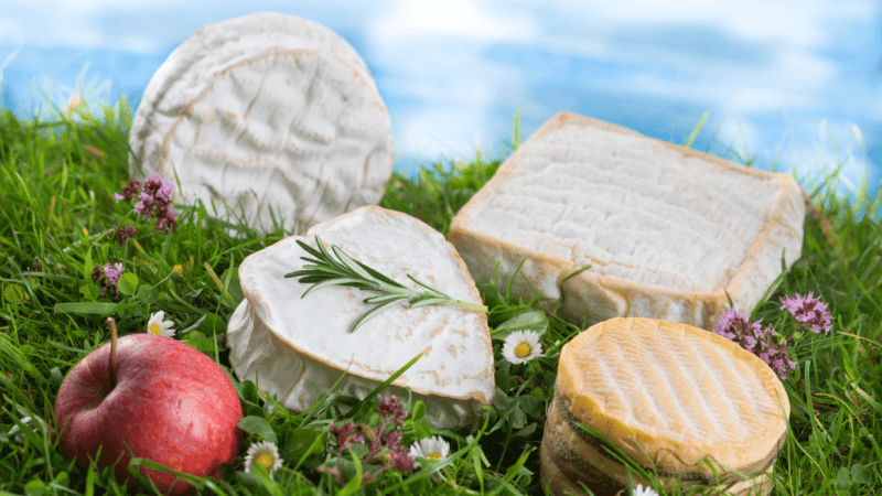 Assortiment de fromages normands posé dans l’herbe avec une pomme rouge